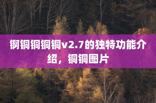 锕铜铜铜铜v2.7的独特功能介绍，铜铜图片