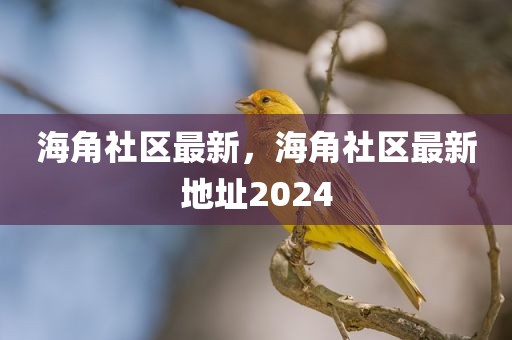 海角社区最新，海角社区最新地址2024