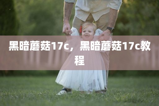 黑暗蘑菇17c，黑暗蘑菇17c教程