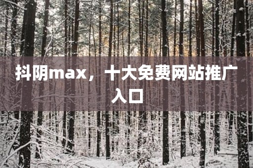抖阴max，十大免费网站推广入口