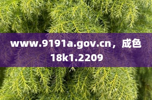 www.9191a.gov.cn，成色18k1.2209