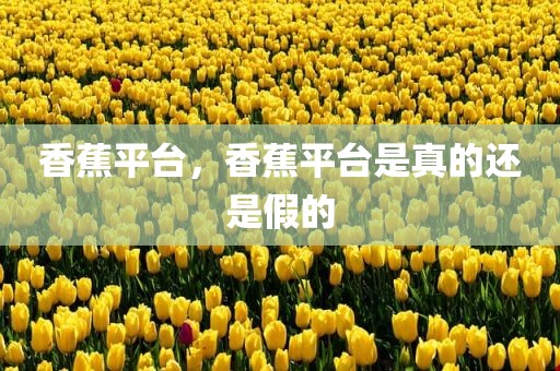 香蕉平台，香蕉平台是真的还是假的