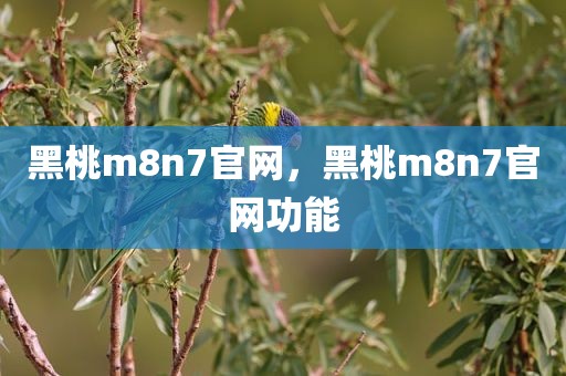 黑桃m8n7官网，黑桃m8n7官网功能