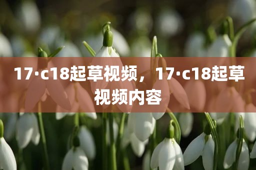 17·c18起草视频，17·c18起草视频内容