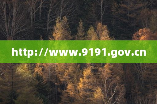 http://www.9191.gov.cn