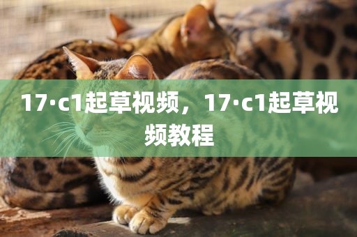 17·c1起草视频，17·c1起草视频教程