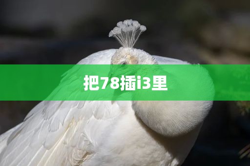 把78插i3里
