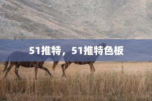 51推特，51推特色板