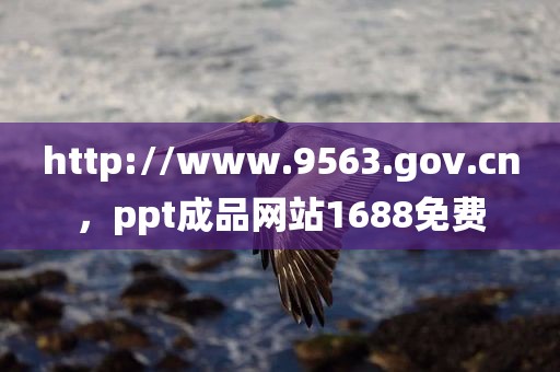 http://www.9563.gov.cn，ppt成品网站1688免费