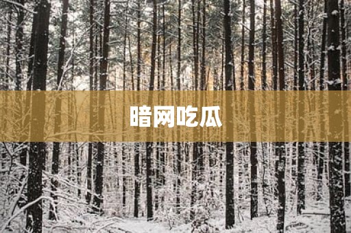暗网吃瓜