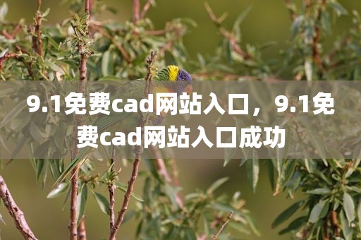 9.1免费cad网站入口，9.1免费cad网站入口成功