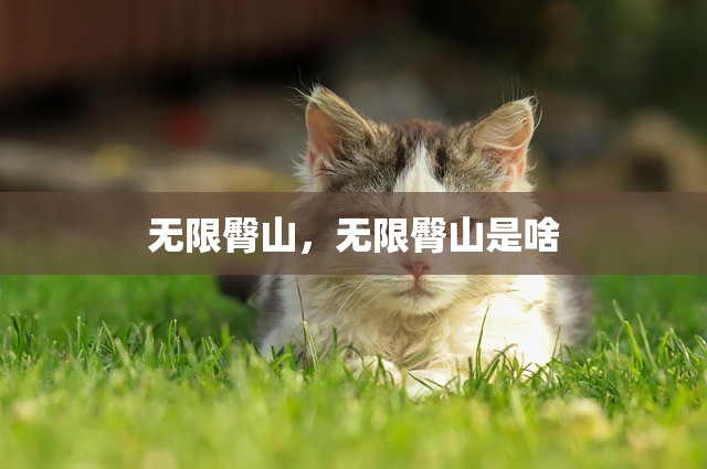 无限臀山，无限臀山是啥