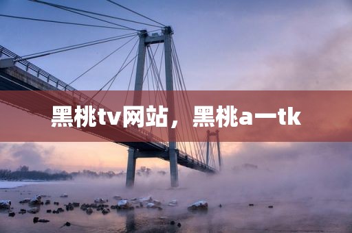 黑桃tv网站，黑桃a一tk
