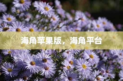 海角苹果版，海角平台