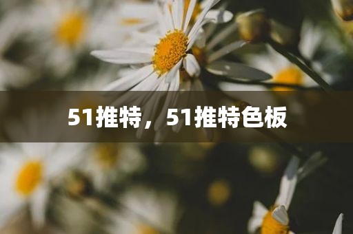 51推特，51推特色板