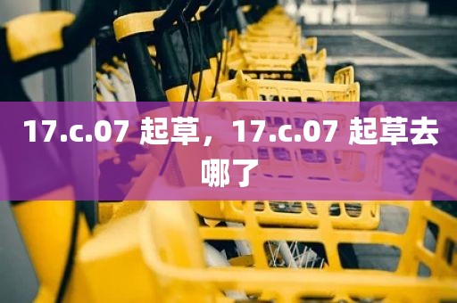17.c.07 起草，17.c.07 起草去哪了