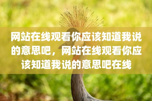 网站在线观看你应该知道我说的意思吧，网站在线观看你应该知道我说的意思吧在线