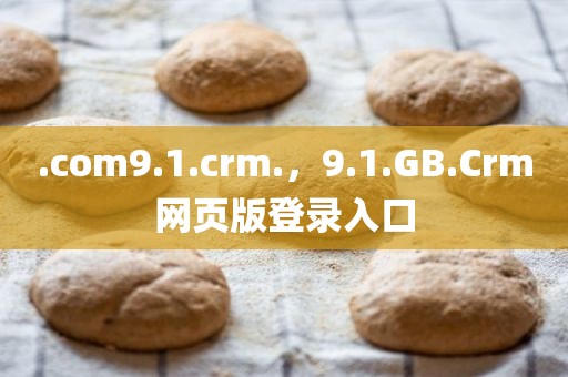 .com9.1.crm.，9.1.GB.Crm网页版登录入口