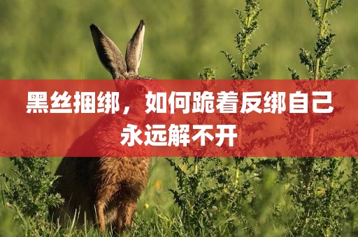 黑丝捆绑，如何跪着反绑自己永远解不开
