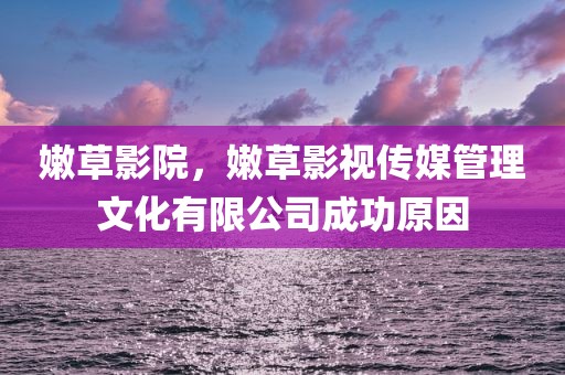 嫩草影院，嫩草影视传媒管理文化有限公司成功原因