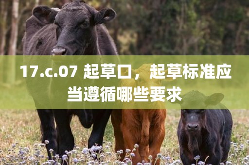 17.c.07 起草口，起草标准应当遵循哪些要求