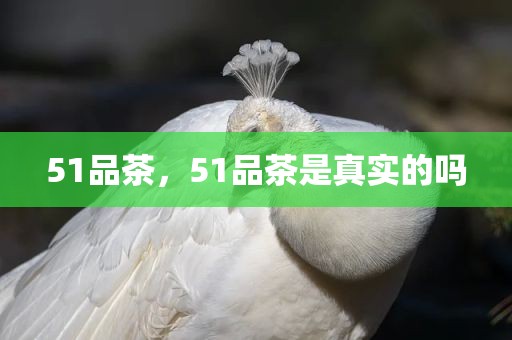 51品茶，51品茶是真实的吗