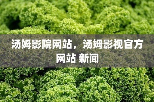 汤姆影院网站，汤姆影视官方网站 新闻