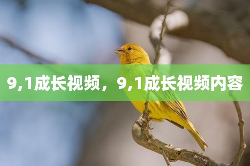 9,1成长视频，9,1成长视频内容