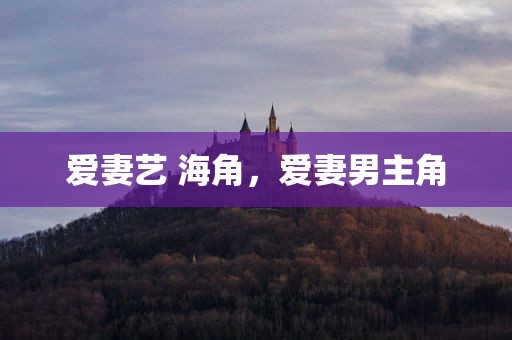 爱妻艺 海角，爱妻男主角