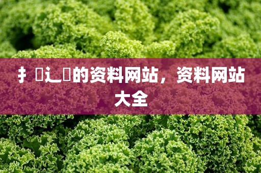 扌臿辶畐的资料网站，资料网站大全