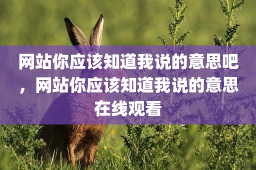 网站你应该知道我说的意思吧，网站你应该知道我说的意思在线观看