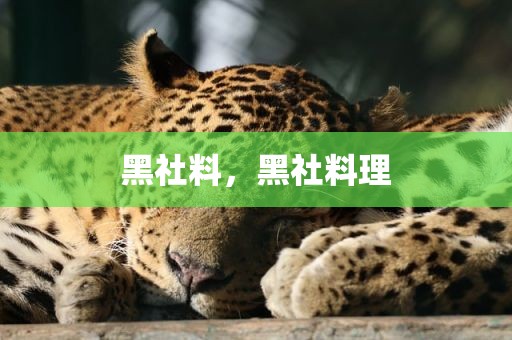 黑社料，黑社料理