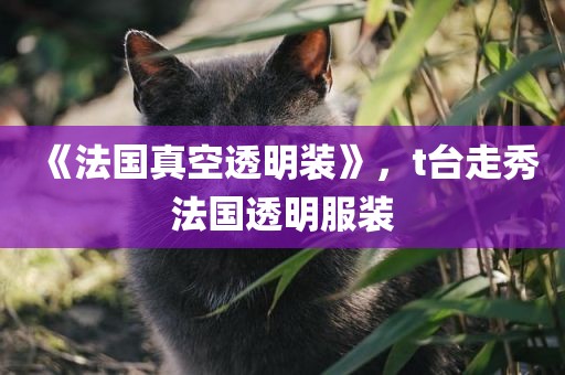 《法国真空透明装》，t台走秀法国透明服装