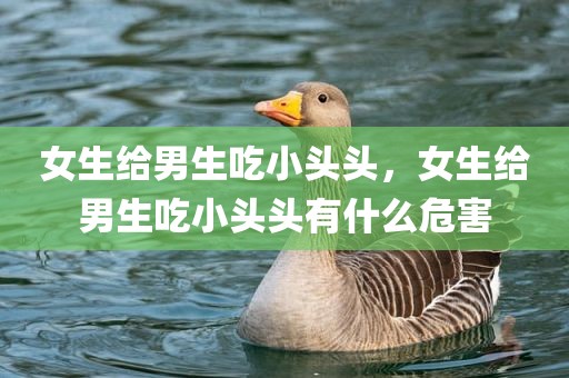 女生给男生吃小头头，女生给男生吃小头头有什么危害