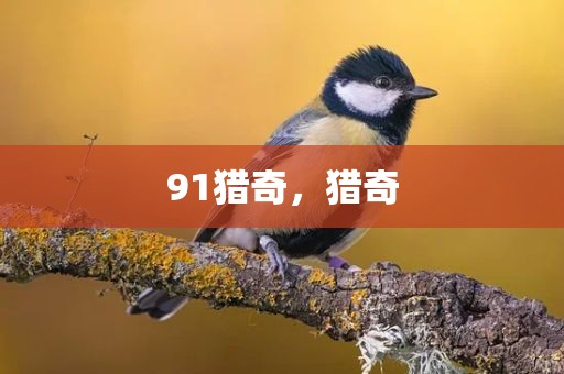 91猎奇，猎奇