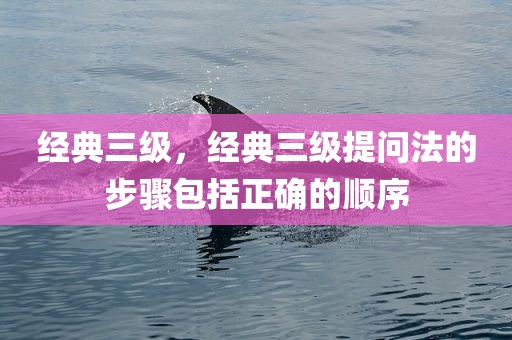 经典三级，经典三级提问法的步骤包括正确的顺序