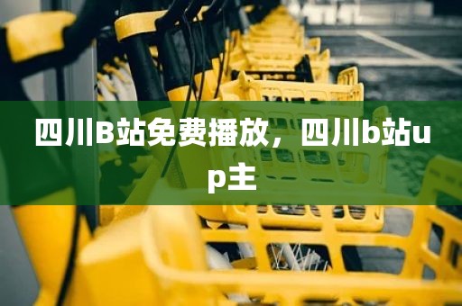 四川B站免费播放，四川b站up主