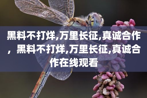 黑料不打烊,万里长征,真诚合作，黑料不打烊,万里长征,真诚合作在线观看