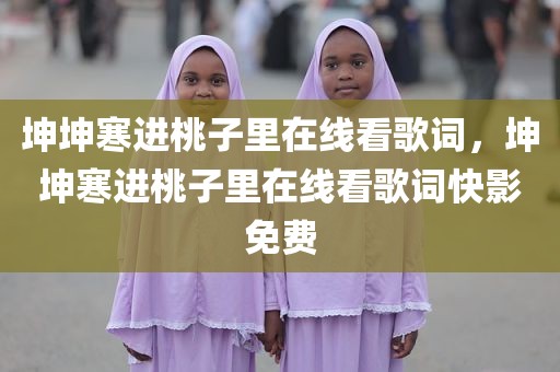 坤坤寒进桃子里在线看歌词，坤坤寒进桃子里在线看歌词快影免费