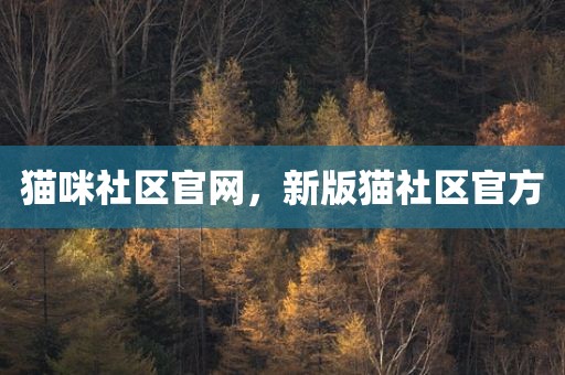 猫咪社区官网，新版猫社区官方