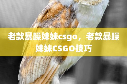 老款暴躁妹妹csgo，老款暴躁妹妹CSGO技巧