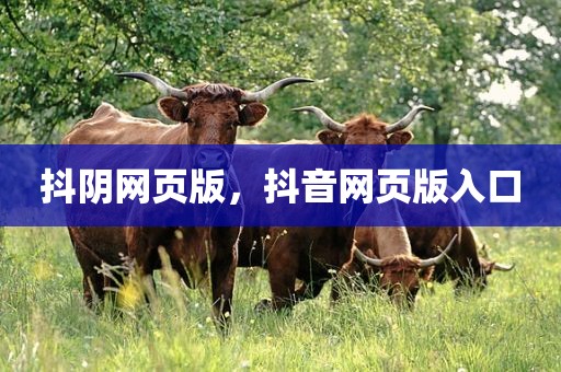 抖阴网页版，抖音网页版入口