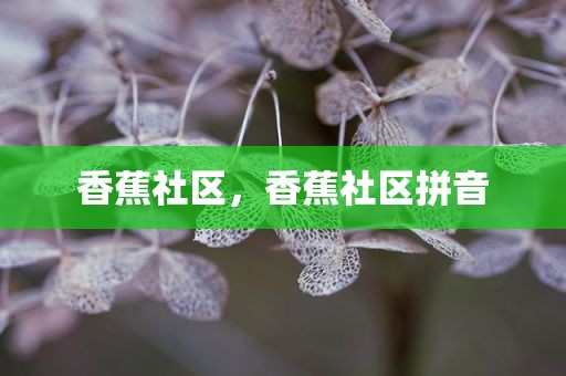 香蕉社区，香蕉社区拼音