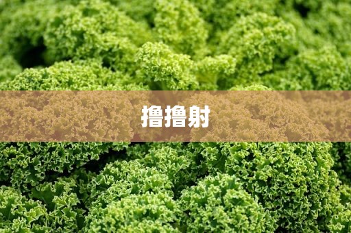 撸撸射