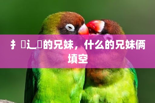 扌臿辶畐的兄妹，什么的兄妹俩填空