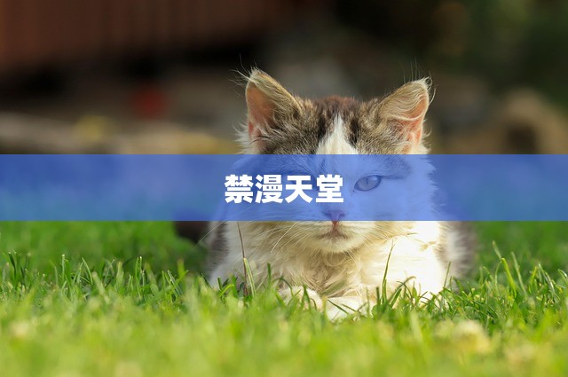 禁漫天堂