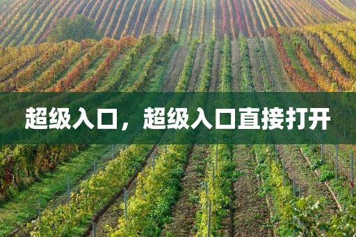 超级入口，超级入口直接打开