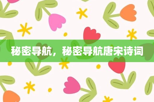 秘密导航，秘密导航唐宋诗词