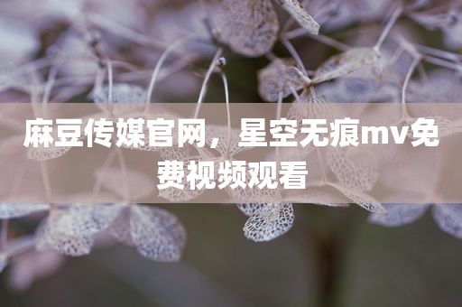 麻豆传媒官网，星空无痕mv免费视频观看