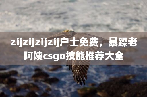 zijzijzijzij户士免费，暴躁老阿姨csgo技能推荐大全